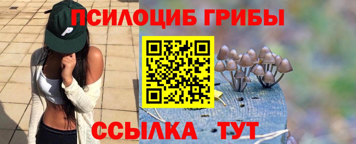 Тобольск  Галлюциногенные грибы Cubensis  Псилоцибиновые грибы мухоморы  Вход с VPN 